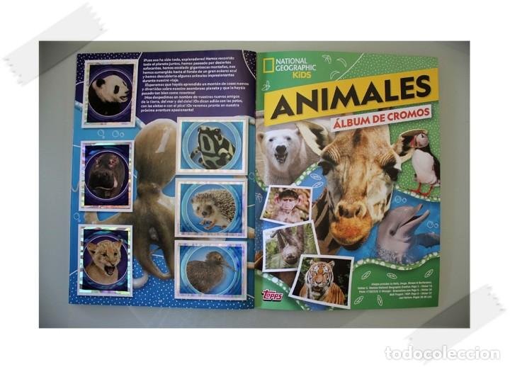 Topps-National Geographic-animales salvajes-cromos-bolsa 1